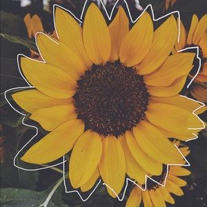 Meet your Posher, Kaeli